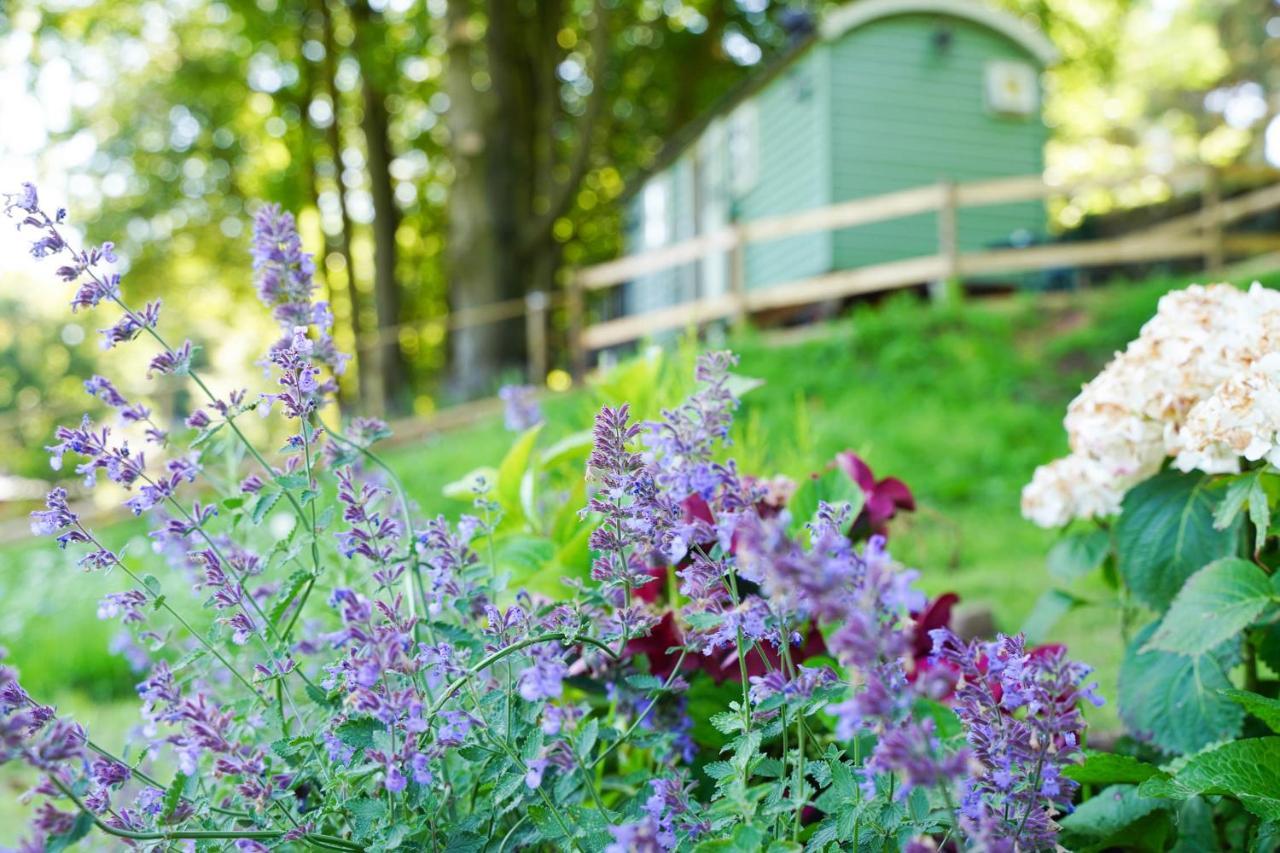 Lavender Retreat With Private Hot Tub Guest House Upper Hulme Екстериор снимка